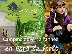 camping aizenay La Forêt