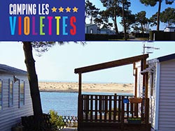 Camping Les Violettes ****