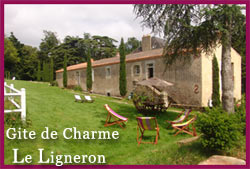 Gîte Le Ligneron - Coëx
