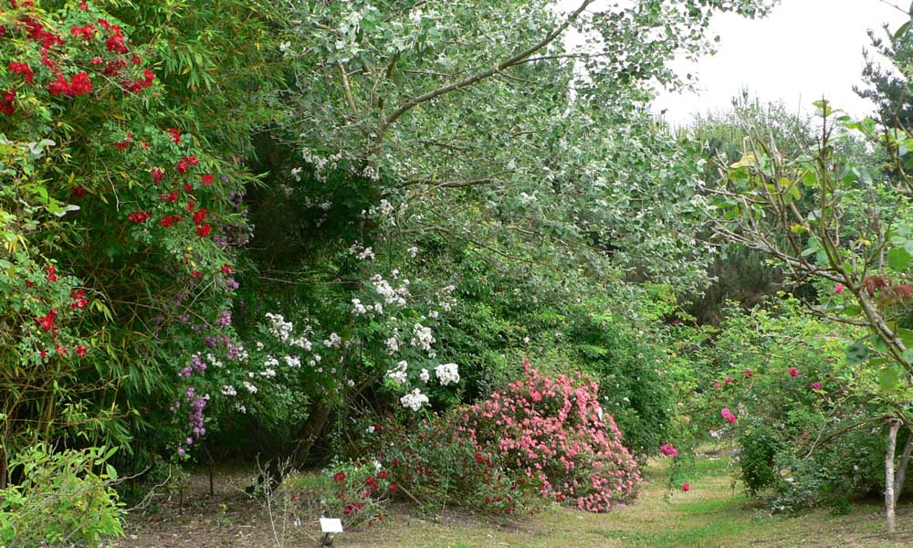 parc de la Guignardière en Vendée