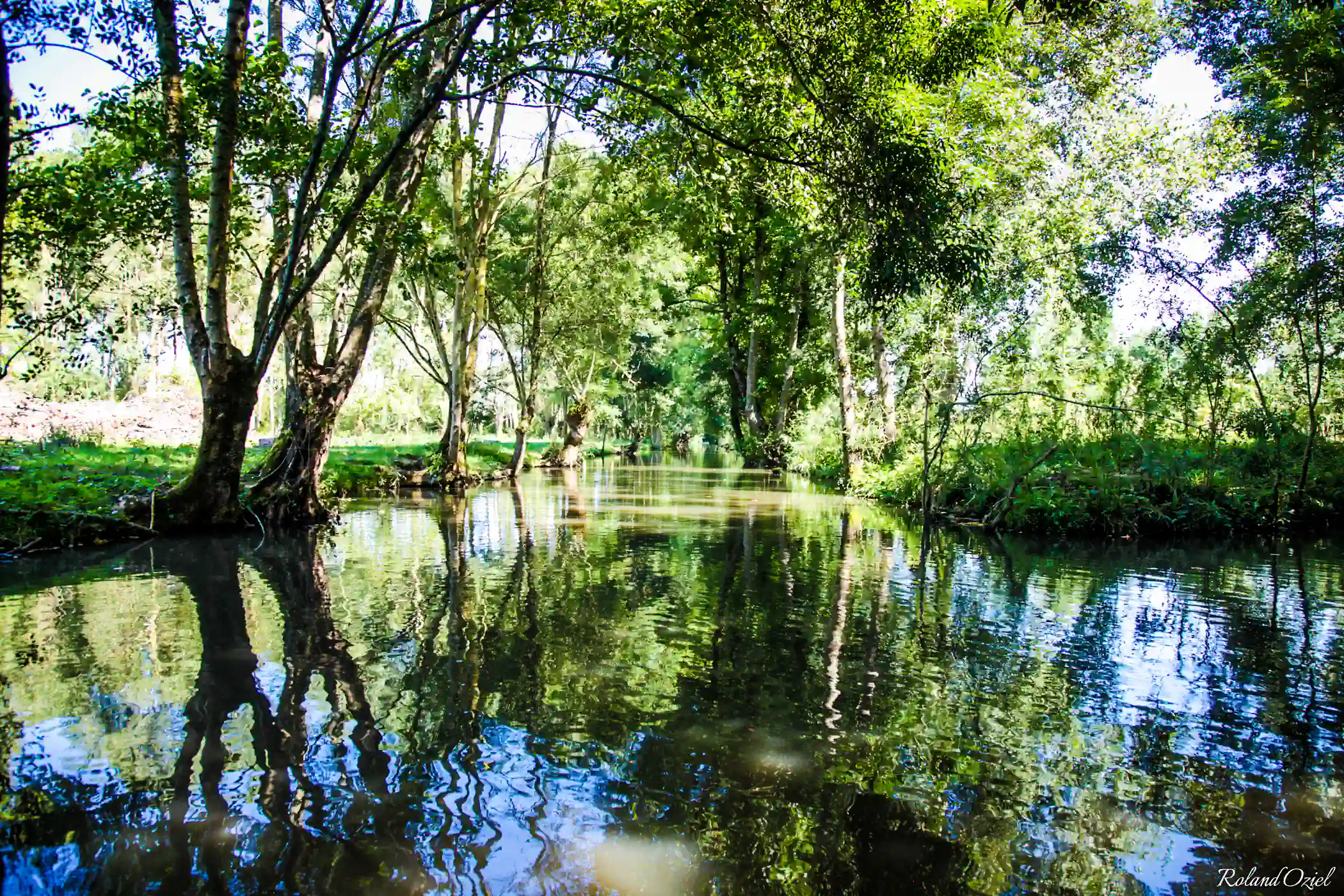 balade dans le Sud Vendée au coeur du Marais Poitevin - Top des activités nature dans le Sud Vendée