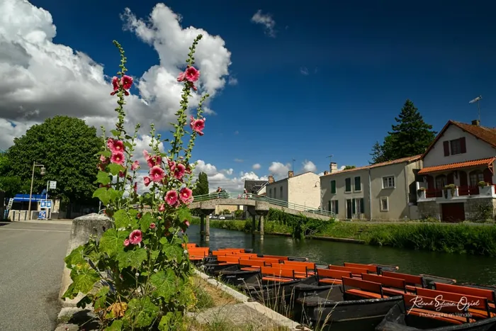 La venise verte entre balade a vélos et sur l'eau