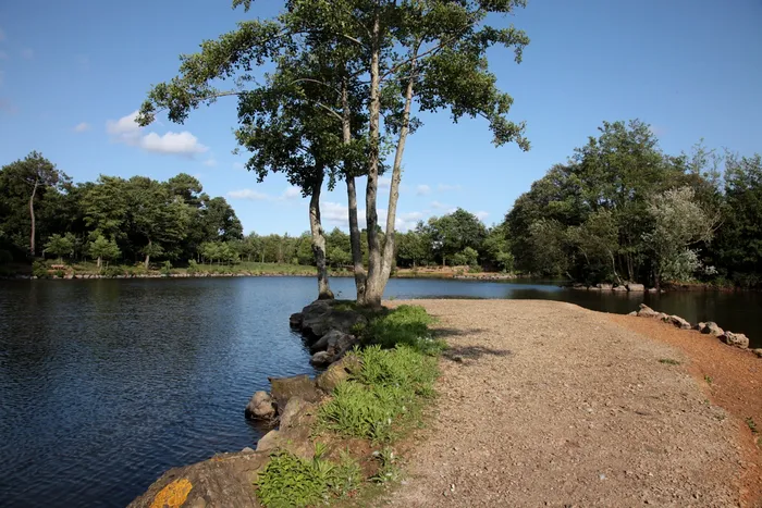 Etang et parc avec foret dans els alentours de challans