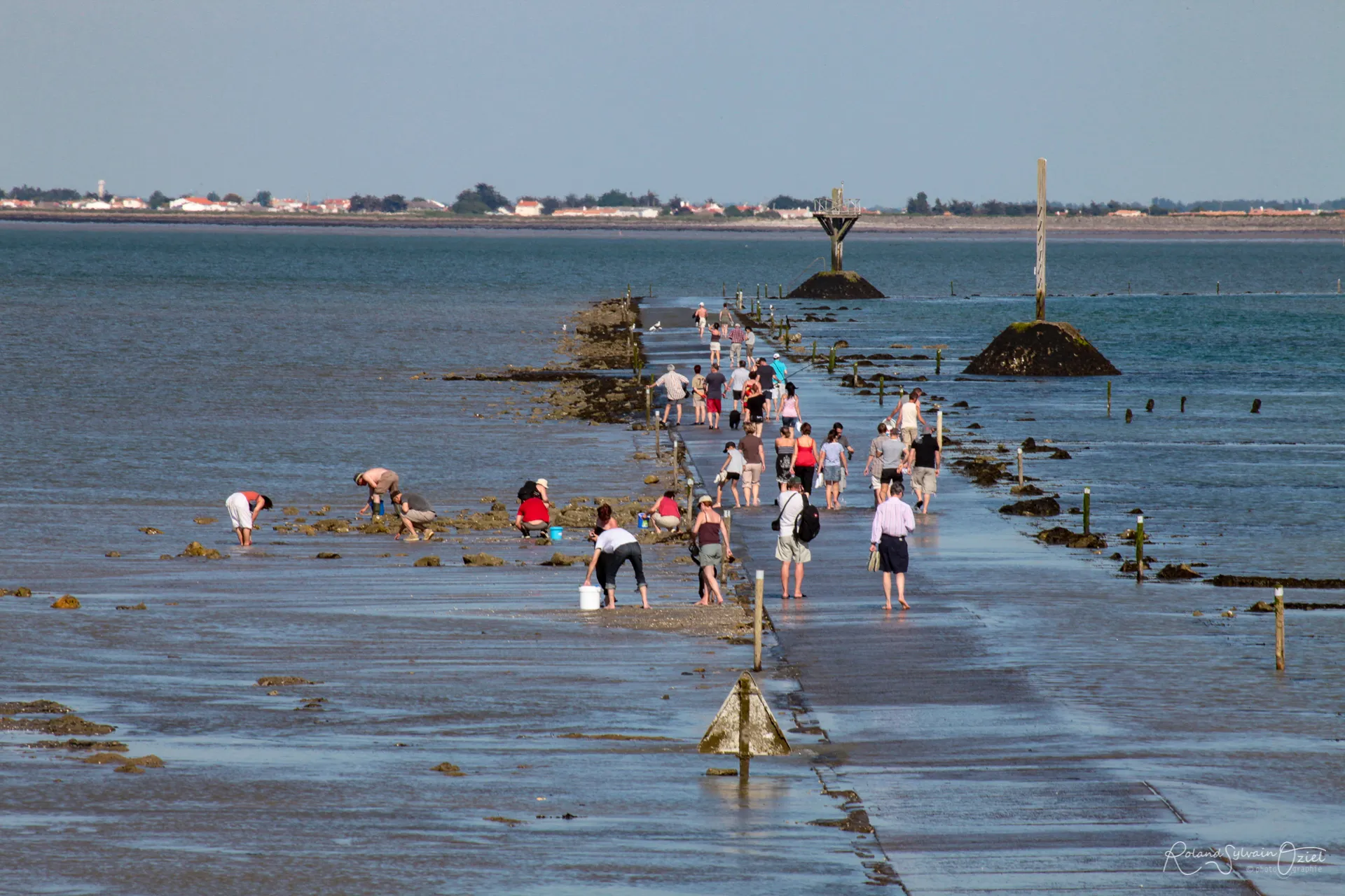 passage du gois à Noirmoutier en vendée pour des vacances entre océan et forêt