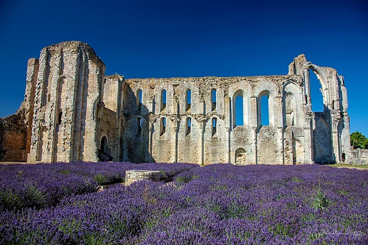 site historique de l'abbaye de Maillezais pour un séjour de vacances entre histoire et nature