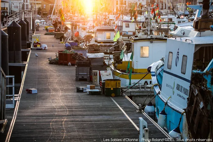 port de pêche des Sables d'Olonnes