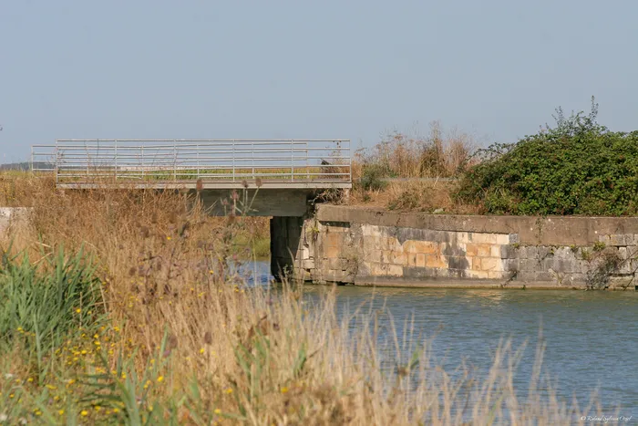 Petit pont au-dessus d’un canal du Marais poitevin dans un paysage rural