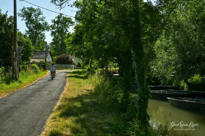 Balade a vélo dans le marais poitevin