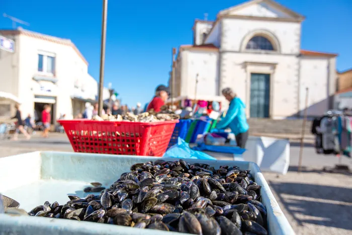 Les bonnes adresses des marchés avec des moules fraiches 